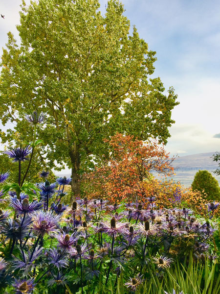 Akureyri Island