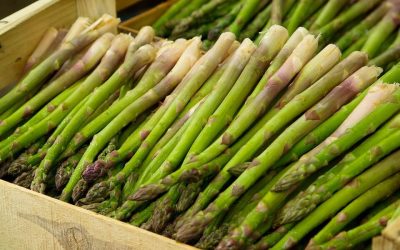 VOM REISEN UND VOM SPEISEN N°1 – Der Spargel
